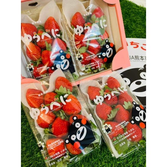 日本熊本熊草莓