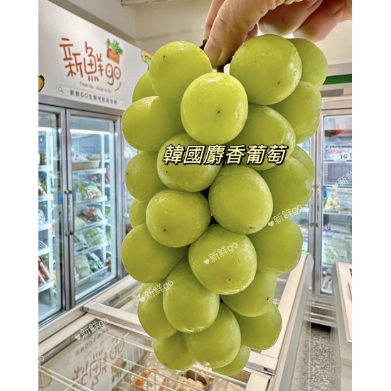 韓國麝香葡萄